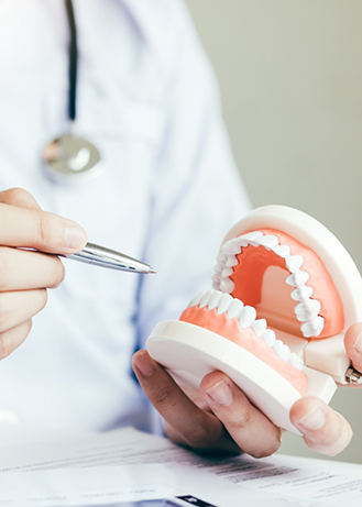 Dentist sitting at a desk and holding a model of the teeth